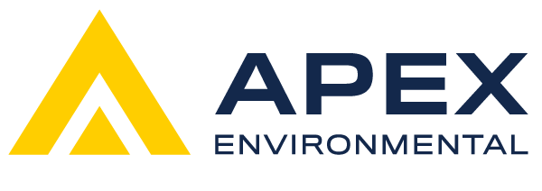 Apex Logo