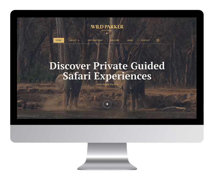 Wild Parker Website Design